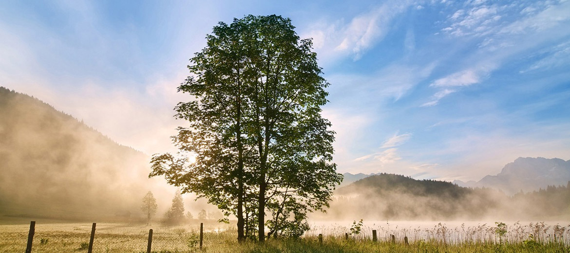 2xe free web hosting