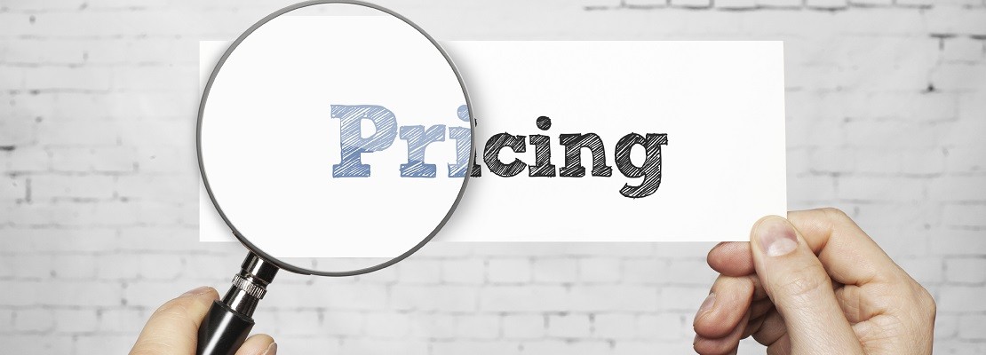 PRICING STRATEGY FOR ONLINE STORES